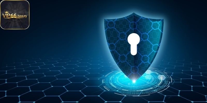 Các điều khoản quan trọng trong quyền riêng tư vip66